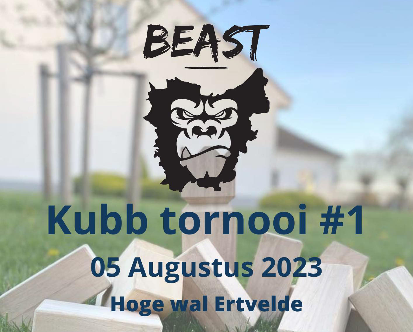 Beast Kubb tornooi